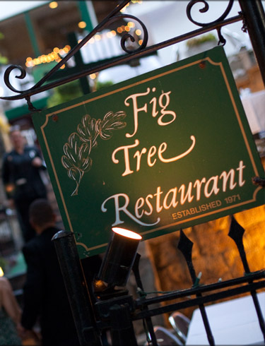 Fig Tree Restaurant San Antonio